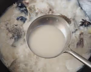 奶白奶白的胖頭魚湯
