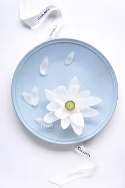 簡單就是美·綻放的荷花（白蘿蔔）