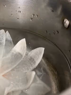 簡單就是美·綻放的荷花（白蘿蔔）