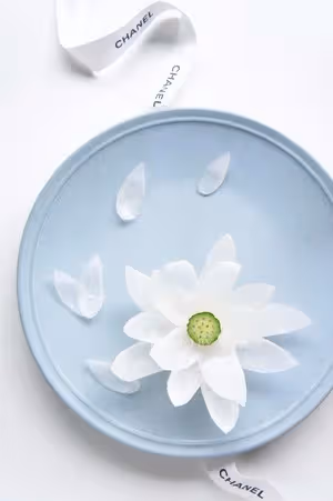 簡單就是美·綻放的荷花（白蘿蔔）