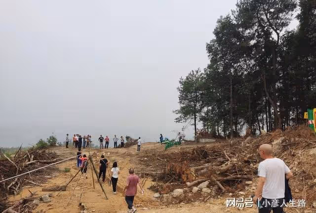 北碚縉雲山隔離帶,倉促形成立下大功,何去何從還沒有定論