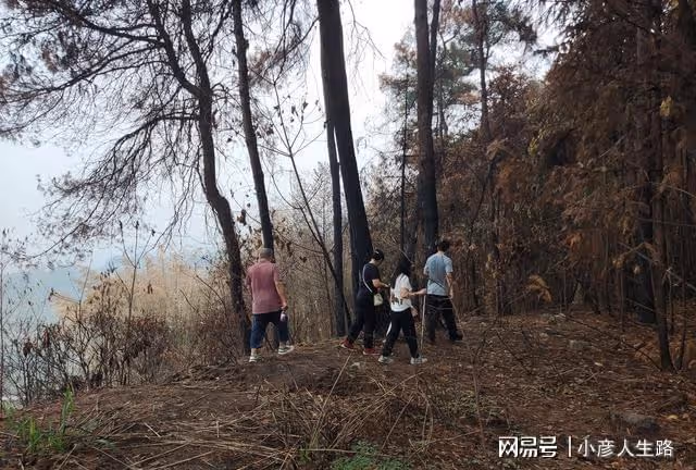 北碚縉雲山隔離帶,倉促形成立下大功,何去何從還沒有定論