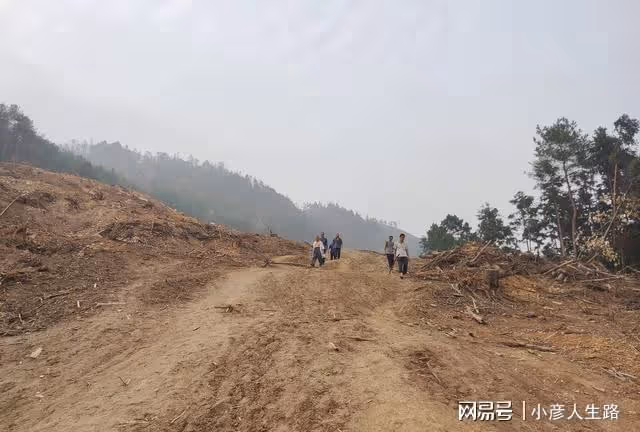 北碚縉雲山隔離帶,倉促形成立下大功,何去何從還沒有定論