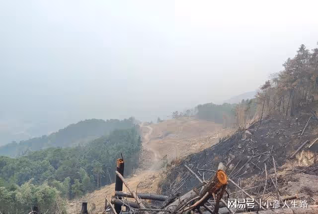 北碚縉雲山隔離帶,倉促形成立下大功,何去何從還沒有定論