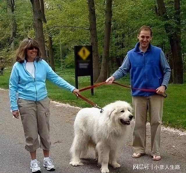 加拿大人理解不了中國人的這幾個習慣,直呼:中國人好奇怪!