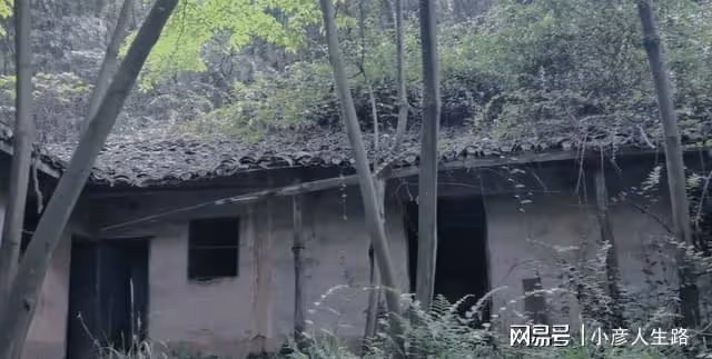 重慶九龍坡的百年小廟宇,規模不大幾棟土坯房,荒廢多年長滿雜草