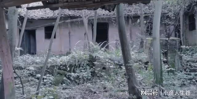 重慶九龍坡的百年小廟宇,規模不大幾棟土坯房,荒廢多年長滿雜草