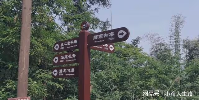 重慶九龍坡的百年小廟宇,規模不大幾棟土坯房,荒廢多年長滿雜草