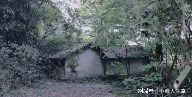 重慶九龍坡的百年小廟宇,規模不大幾棟土坯房,荒廢多年長滿雜草