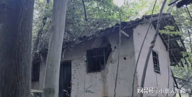 重慶九龍坡的百年小廟宇,規模不大幾棟土坯房,荒廢多年長滿雜草