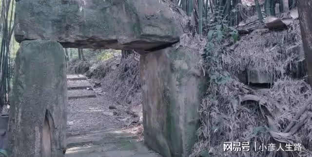 重慶九龍坡的百年小廟宇,規模不大幾棟土坯房,荒廢多年長滿雜草