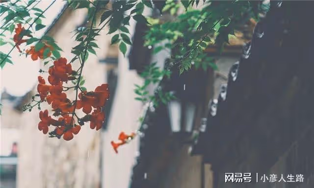解密安徽皖南神秘古村,36眼井72條巷布局如迷宮,周潤發專程來此
