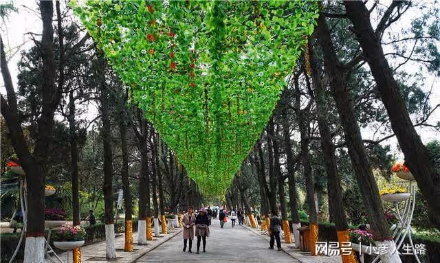中國傳統的花朝節,來開封禹王台尋覓李白的足跡