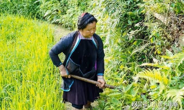 貴州最神秘的村寨，50年人口零增長！到底怎麼回事？一起來看看吧