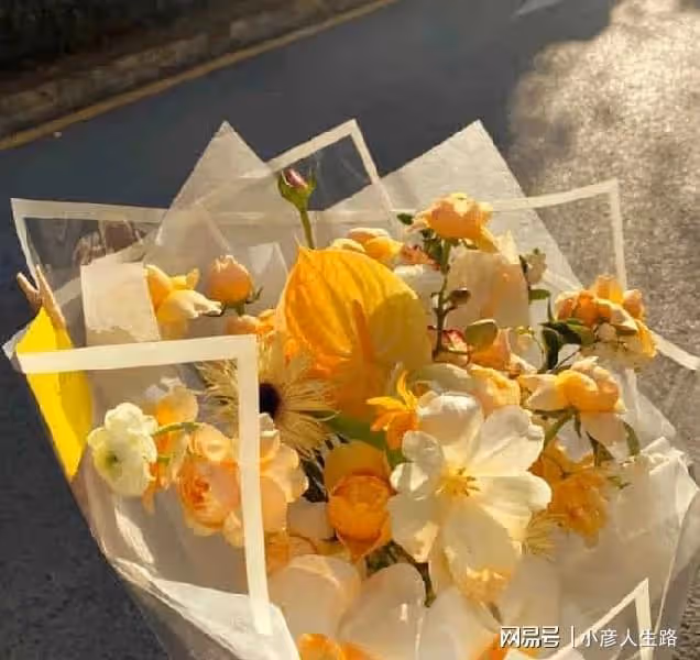 提升人生高度最好的方式:讀書