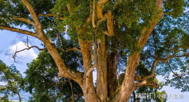 淺談貴州「稀奇古怪」的5處景點,每個都讓人大開眼界