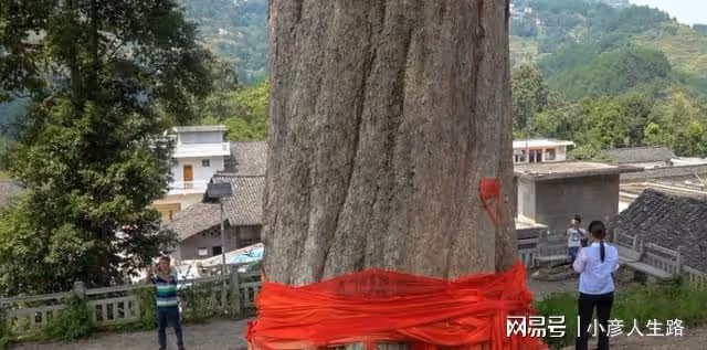 淺談貴州「稀奇古怪」的5處景點,每個都讓人大開眼界