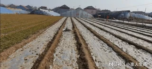 中國嘿小的小山頭,海拔低塊頭小很容易被忽略,就在山東壽光