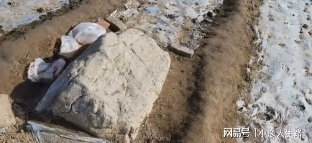 中國嘿小的小山頭,海拔低塊頭小很容易被忽略,就在山東壽光