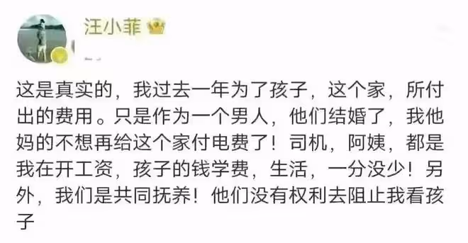 張穎穎與汪小菲和好，雙方團聚過年旅遊，男方忽視母親張蘭的感受