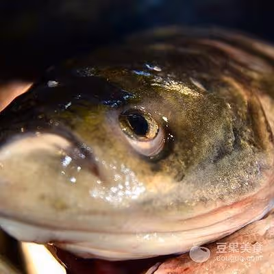 隨意魚頭湯的做法