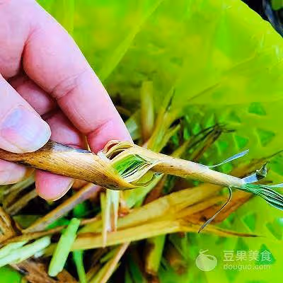 醋燒小筍的做法