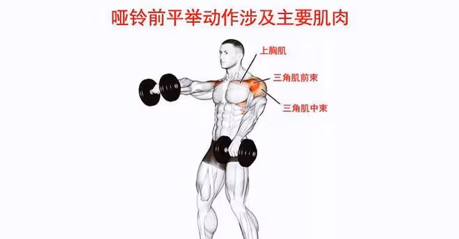 什麼才是啞鈴前平舉的動作鍛鍊?