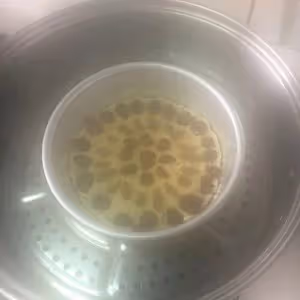 黃米麵年糕⋯人生如菜譜