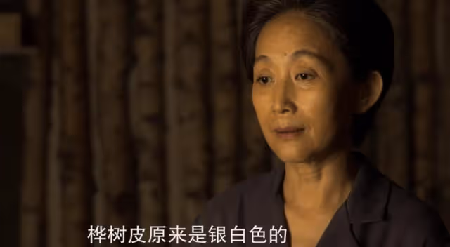 王子文自曝想和陳瑾客串《三體》第二季卻被導演婉拒,理由超搞笑