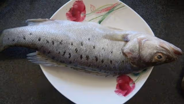 吃過了紅燒油炸，魚用清蒸的方法做，保證讓你感覺煥然一新