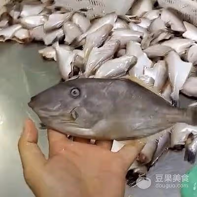 泡椒家族成員--泡椒耗兒魚