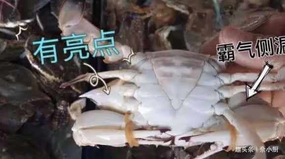 梭子蟹的3個挑選技巧，懂得人不是吃貨，就是同行
