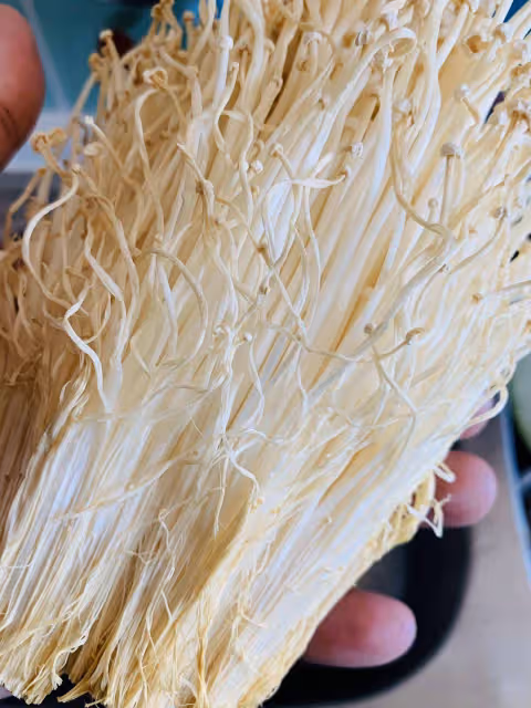 極簡食譜—干炸金針菇 干香酥脆 營養美味 可作為孩子零食