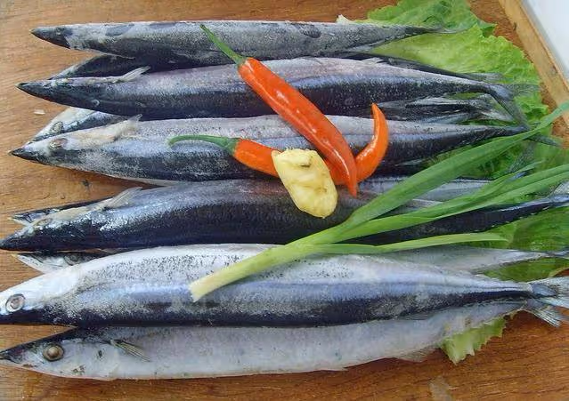 這魚日本人視為「腦黃金」，一日三餐都要吃，中國人：實在吃不下