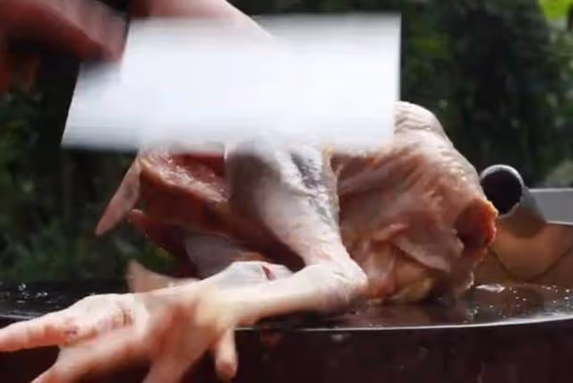 雞肉在夏季就適合這樣做，口味麻辣爽口、雞肉細嫩絕對下酒又下飯