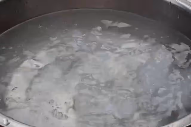 雞肉在夏季就適合這樣做，口味麻辣爽口、雞肉細嫩絕對下酒又下飯