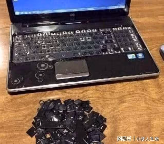 家有「破壞大王」父母別生氣,可能你家孩子更具探索精神,是好事