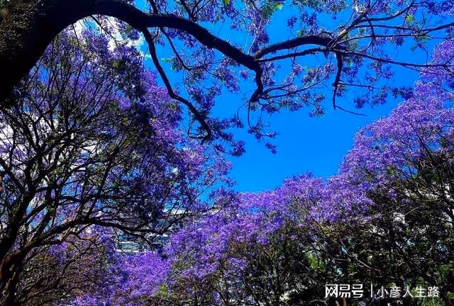 威海,青島,大連,南寧,廈門這5座城市的環境到底有多乾淨?