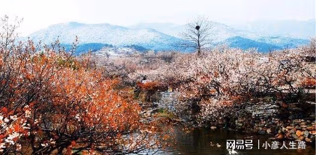 威海,青島,大連,南寧,廈門這5座城市的環境到底有多乾淨?