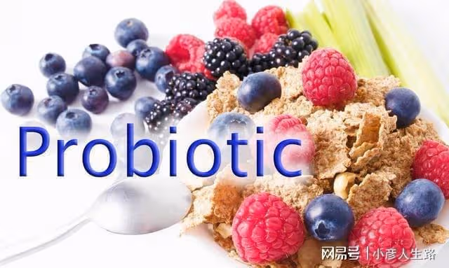 年紀大了別太節省,多吃3類食物,預防痴呆,老了頭腦依舊靈活