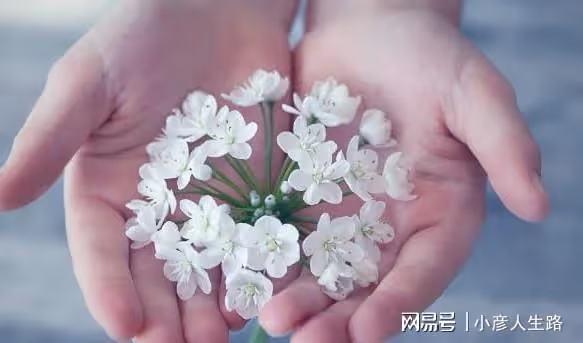 真正的斷舍離,是從學會整理開始的