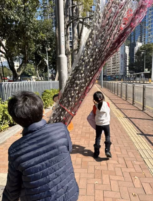 郭晶晶春節獲女兒幫忙大掃除，兄妹三人逛花市，主動搬植物不嬌氣