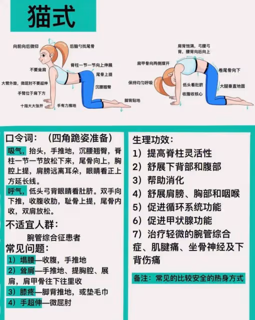瑜伽體式精講:「貓式」和「大貓式」