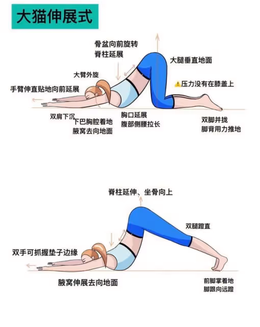 瑜伽體式精講:「貓式」和「大貓式」