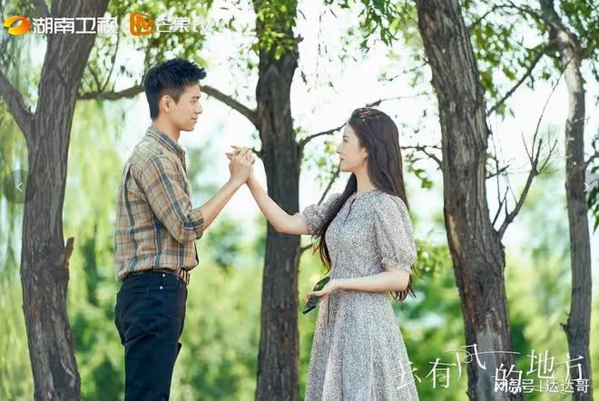 《夢華錄》《去有風的地方》豆瓣極好評 劉亦菲演技卻成敗筆?