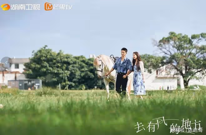 《夢華錄》《去有風的地方》豆瓣極好評 劉亦菲演技卻成敗筆?