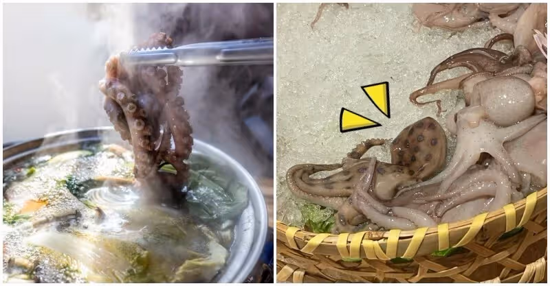 袋口不能封!女星曝「紅包有2大禁忌」恐好運流失 專家揭「一舉動讓財源滾滾來」:太多人沒注意