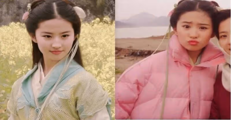 母愛很偉大！劉亦菲媽媽「為女兒兩婚兩離」至今單身　近照曝光「氣質比女兒好」