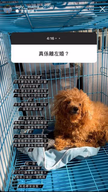 港星出軌男張致恆被拋棄，妻子官宣離婚，帶三個兒子已搬離愛巢