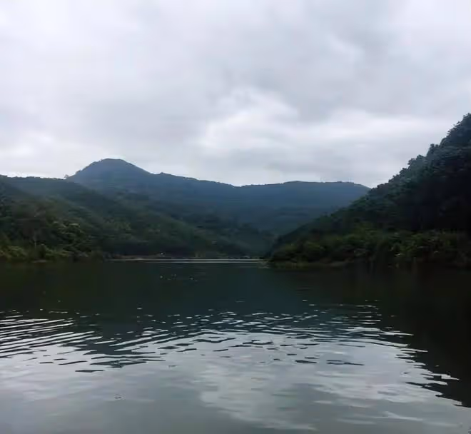 雲南丈母娘寄來的特產，重慶女婿直接扔了，網友：換我也不敢吃